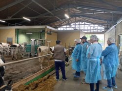 Курганская делегация посетила молочные фермы в соседнем регионе
