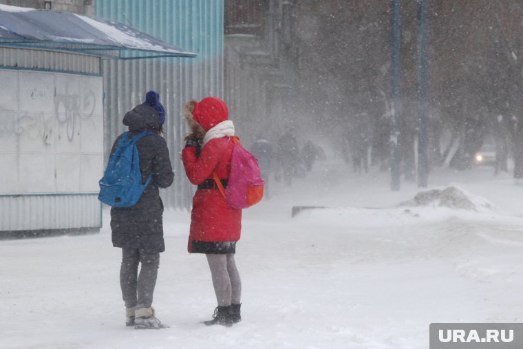 Школьницы подрались возле ТЦ в Нижневартовске