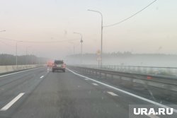 Туман в Курганской области прогнозируется ночью и утром 22 октября