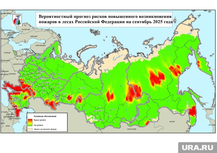 Лесные пожары прогнозируются в 38 регионах 