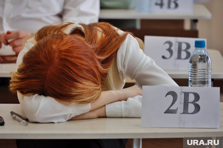 Если вам кажется, что сдать ОГЭ легче легкого - попробуйте пройти тест по обществознанию