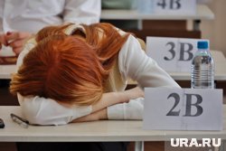 Если вам кажется, что сдать ОГЭ легче легкого - попробуйте пройти тест по обществознанию