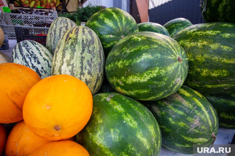В Челябинске начинается пик продаж арбузов и дынь