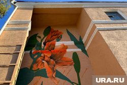На здании в Кургане, где находится гостиница, нарисовано граффити в виде цветов