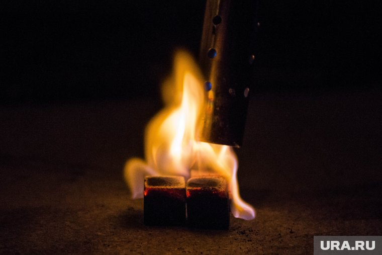 В Москве владельцы популярной кальянной не соблюдают санитарные нормы, рассказали в Shot-проверка
