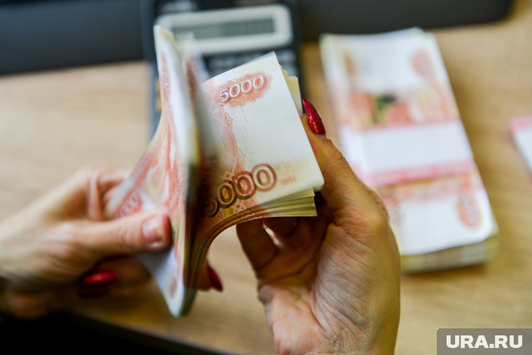 Компания потеряла в прибыли, но нарастила выручку