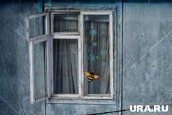 Москитная сетка не выдержала ребенка на подоконнике