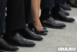 Светлана Гиллих стала новым директором департамента транспорта и дорожного хозяйства ЯНАО 