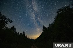 Также существовало поверье: если не спать в эту ночь, весь год будешь здоровым и счастливым