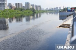 Тура достигла отметки шести метров