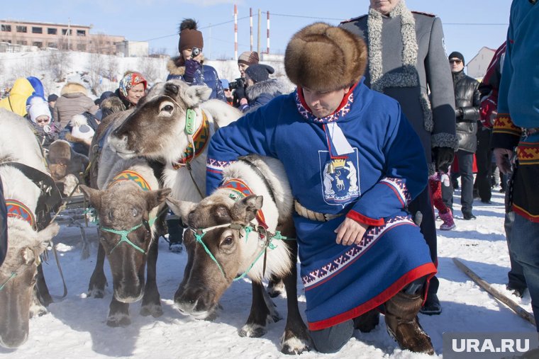 День оленевода в Салехарде