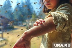 Жителям России не стоит опасаться нашествия комаров