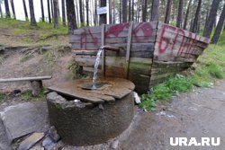 В роднике Нягани нашли кишечную палочку
