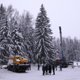 В Подмосковье спилили главную елку страны. Фоторепортаж