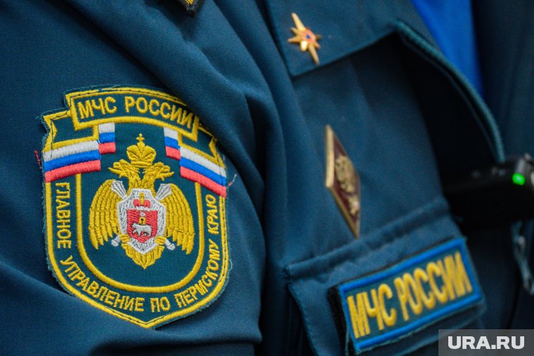 Сотрудник МЧС России отнес истощенное животное в прохладное помещение и накормил