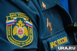 Сотрудник МЧС России отнес истощенное животное в прохладное помещение и накормил