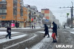 В Кургане синоптики обещают небольшой снег