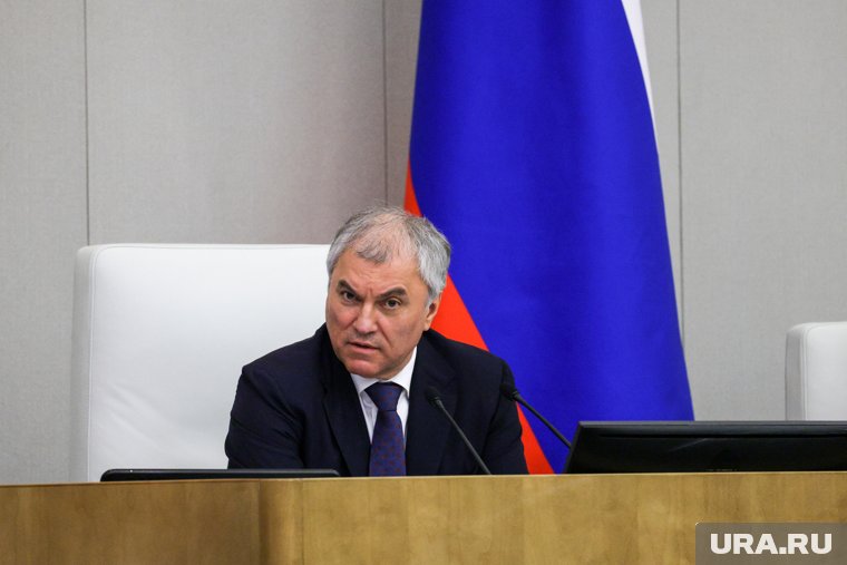 Володин не понимает, почему иностранец стремится получить гражданство РФ, а защищать Родину не хочет