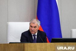 Володин не понимает, почему иностранец стремится получить гражданство РФ, а защищать Родину не хочет