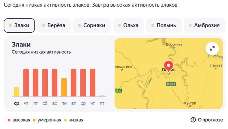 Злаковые (луговые) травы выбрасывают свою пыльцу в середине лета, начинается вторая волна сезонных аллергий 