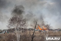 В Кургане ждут ухода запахи гари от пожара на мусорном полигоне