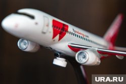 Росавиация еще не решила вопрос компенсаций авиаперевозчикам из-за непогоды в Московской области