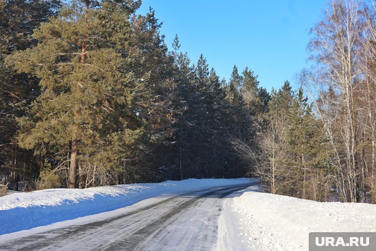 Череп убитого был найден в лесу у дороги недалеко от села Каширино