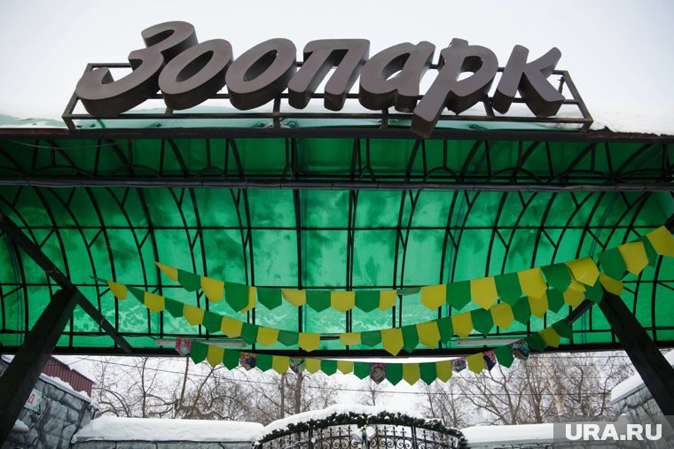 Старый зоопарк окончательно закрылся