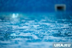 В реабилитационном центре «Большой Тараскуль» ждут нового директора