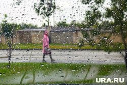 Небольшой дождь будет днем в Курганской области