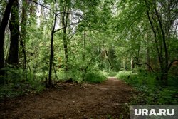 В салоне автобуса находились 30 человек