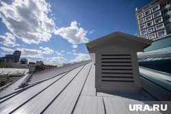 Несостоявшегося руфера сняли с крыши и передали бабушке