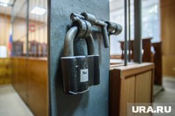 Решение о заключении под стражу принял Мещанский суд Москвы