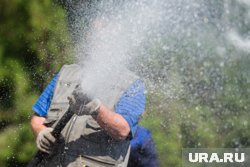 Летом важно избегать застоя влаги на огороде