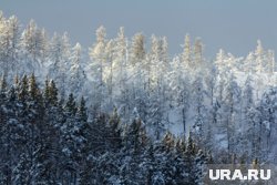 Январь в ЯНАО ожидается теплее, чем обычно