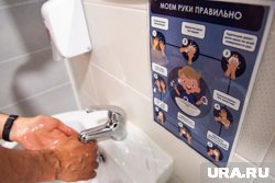 Чтобы не заразиться сальмонеллезом, нужно мыть руки перед едой и во время приготовления курицы