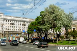 Ограждение у ресторана на Воровского спиливали пять раз