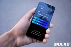В Тюменской области чиновники осваивают российский мессенджер Max