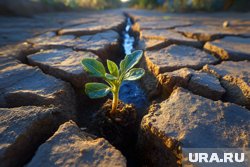 Школьники представят свои экологические инициативы (архивное фото)