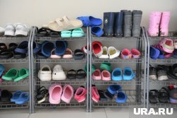 Над ребенком издевались трое других мальчиков старше его
