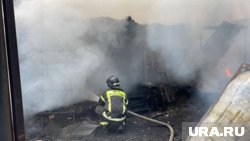На пожаре в челябинском СНТ погиб 56-летний садовод