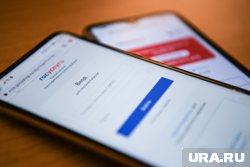 Курганцы смогут голосовать на выборах в облдуму через портал госуслуг