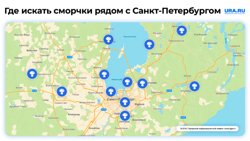 Карта произрастания сморчков в Ленинградской области