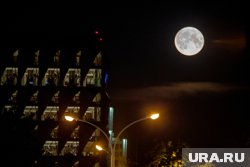 Пик активности звездопада ожидается 12 августа