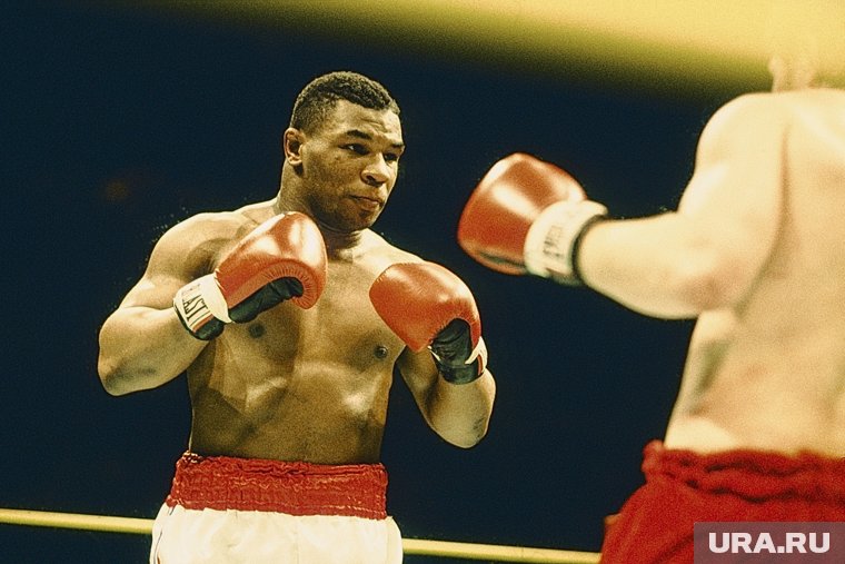 Майк Тайсон был чемпионом мира по версии WBC с 1986 по 1990 год и в 1996 году