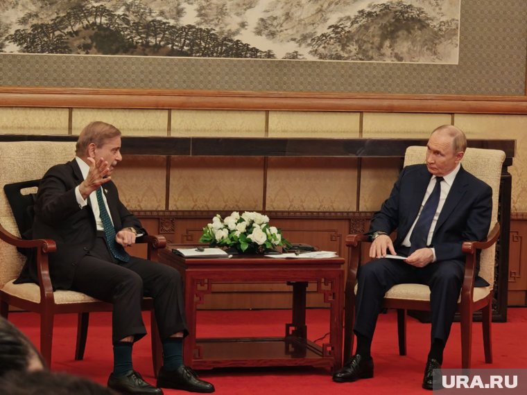 Президент РФ Владимир Путин встретился в Пекине с премьер-министром Пакистана Шехбазом Шарифом