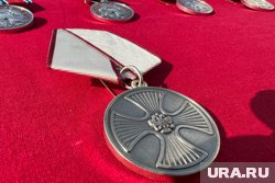 Путин посмертно наградил медалью «За спасение погибавших» Илию Гукежева