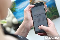 Активнее всех через ДЭГ будут голосовать жители Тавды