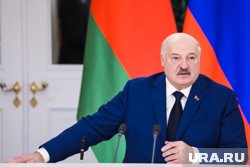 Лукашенко заявил, что в Белоруссии хватает семен картофеля
