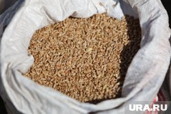 С начала 2025 года управление объявило предостережения уже 54 участникам зернового рынка региона
